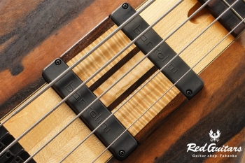 Platinum Series Single-Cut , e-volution 5 - Macassar Ebony